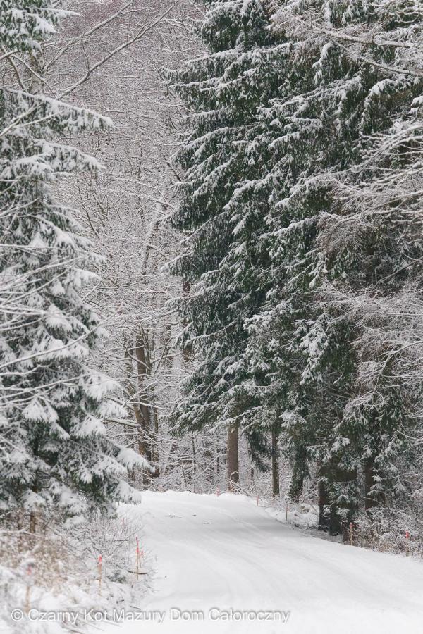 Czarny Kot Mazury Dom Caloroczny Villa Malkinie ภายนอก รูปภาพ