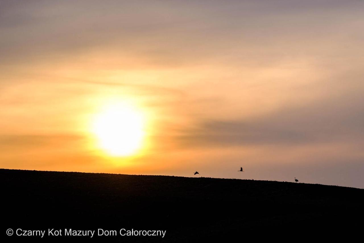 Czarny Kot Mazury Dom Caloroczny Villa Malkinie ภายนอก รูปภาพ